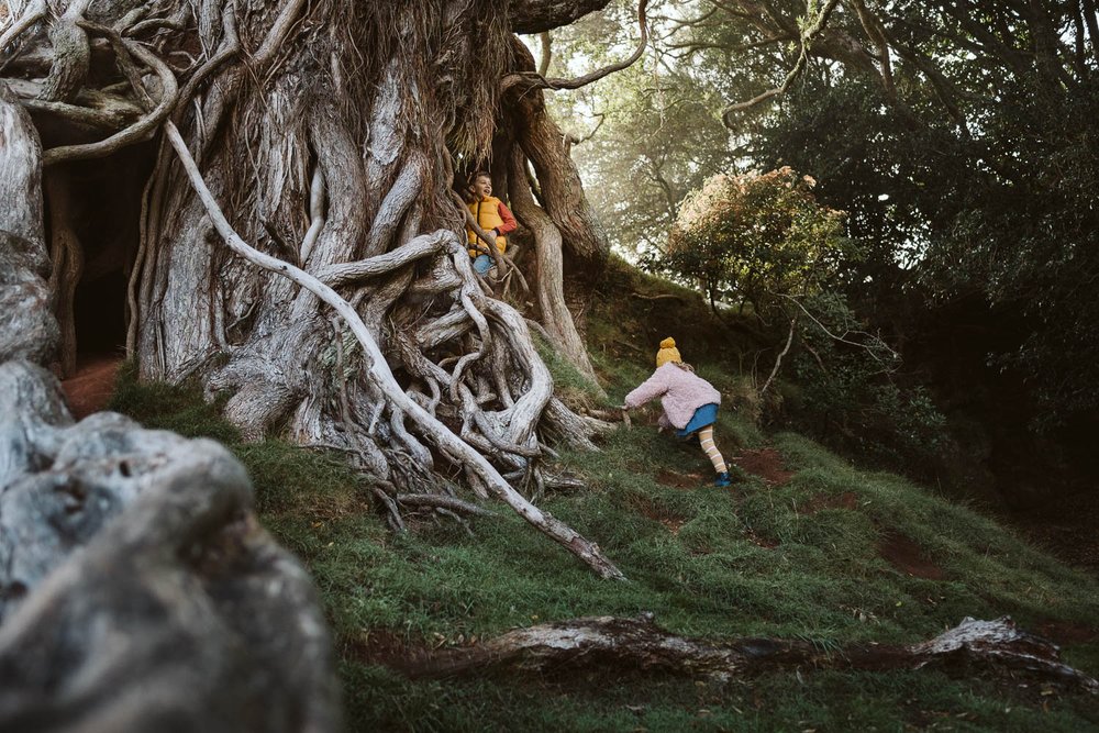 Family Photo Shoot Locations in Auckland - Cornwall Park magic tree.jpg