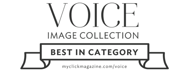 Voice Award.png