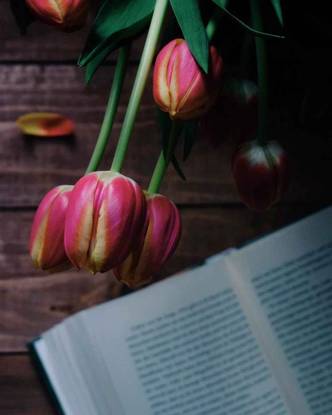 Tulips and books