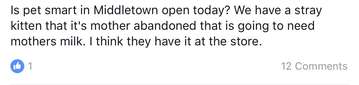 Someone know if my smart grandparents are awake or alive? Lookin to get some homemade cookies and I think they have it at their home. 