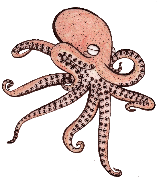 Eyeball Octopus