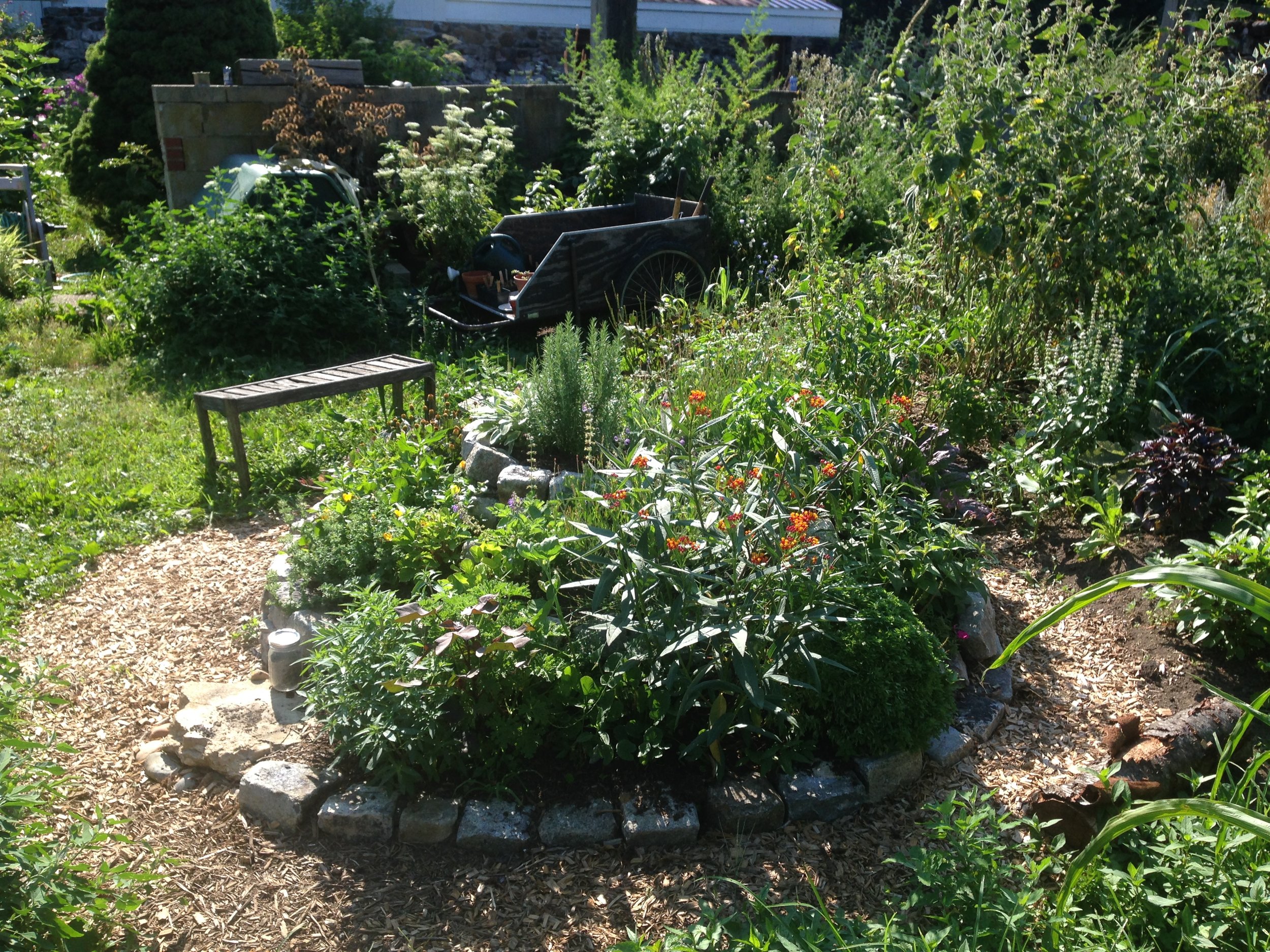 The same Herb Spiral a few months later