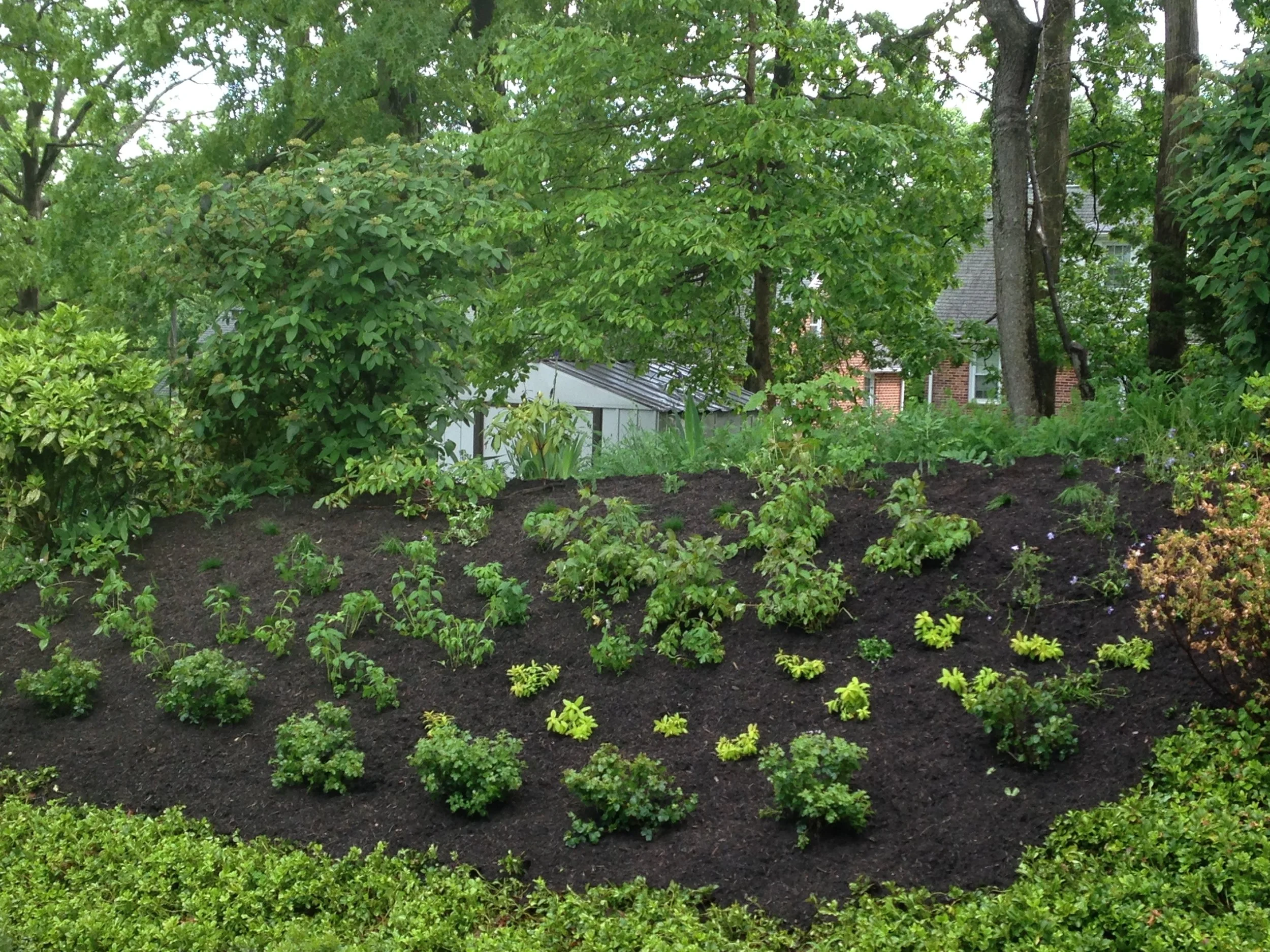 Design upon installation: habitat support for mosquito-eating birds.