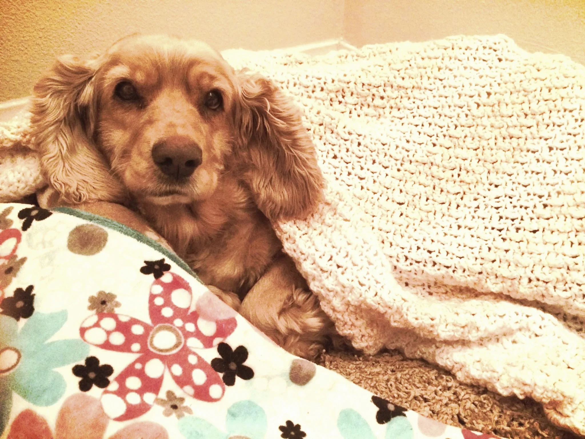 Nighty-Night :)