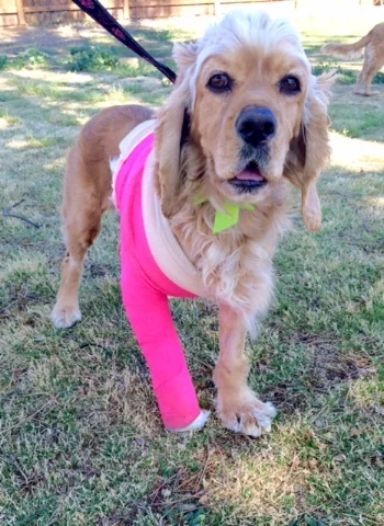 Hot Pink is definitely her color! 