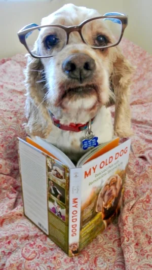 During the day he is an avid reader and has read all the classics....