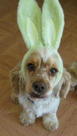 ...but at night he likes to party ;-)