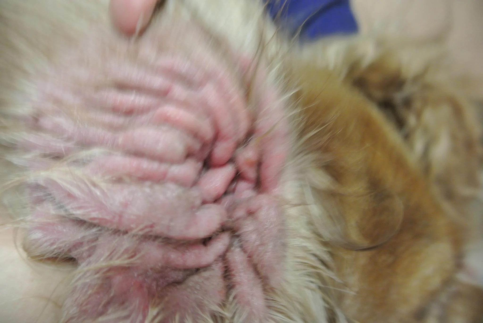 Before treatment..