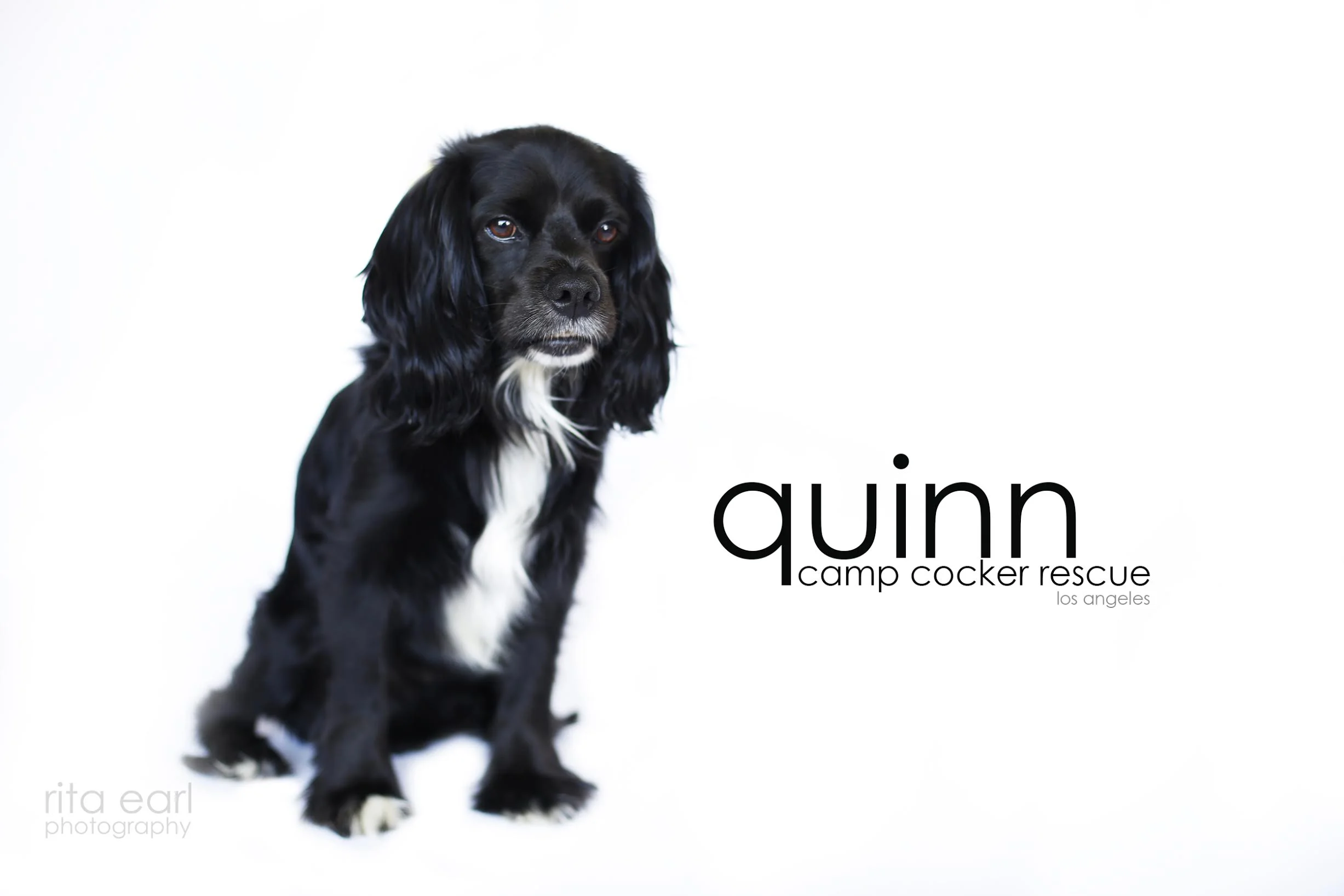 quinnglam3.jpg