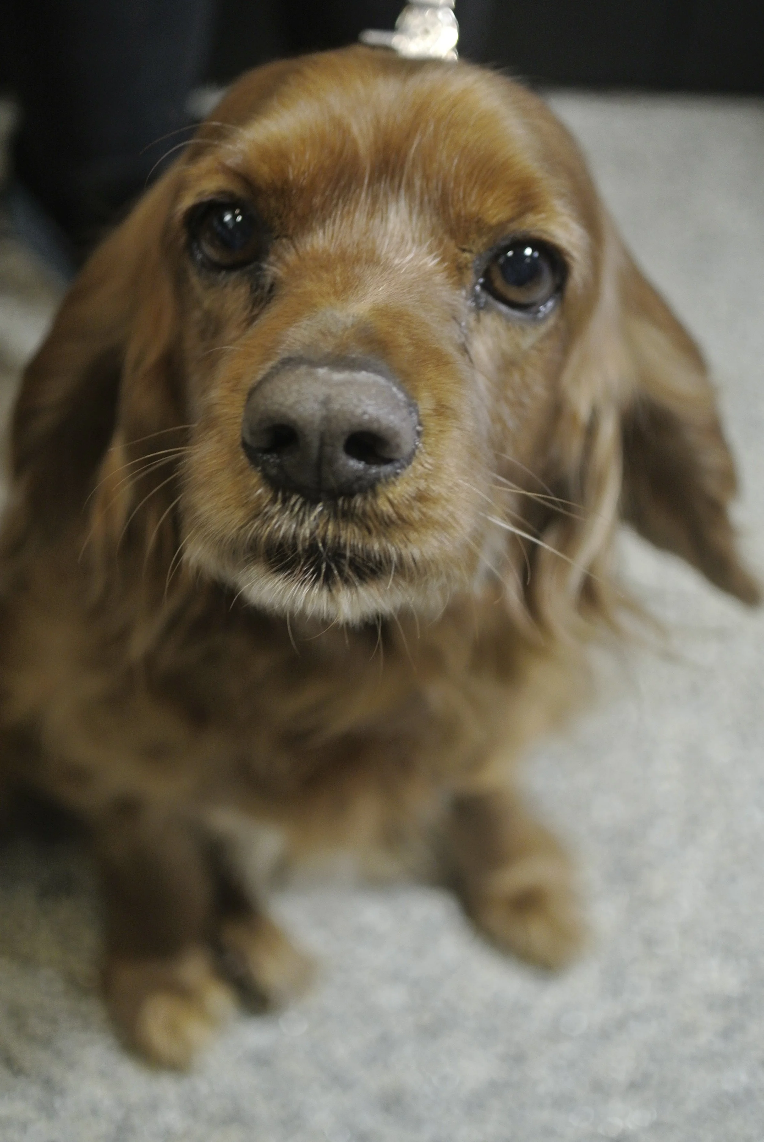 Those eyes!