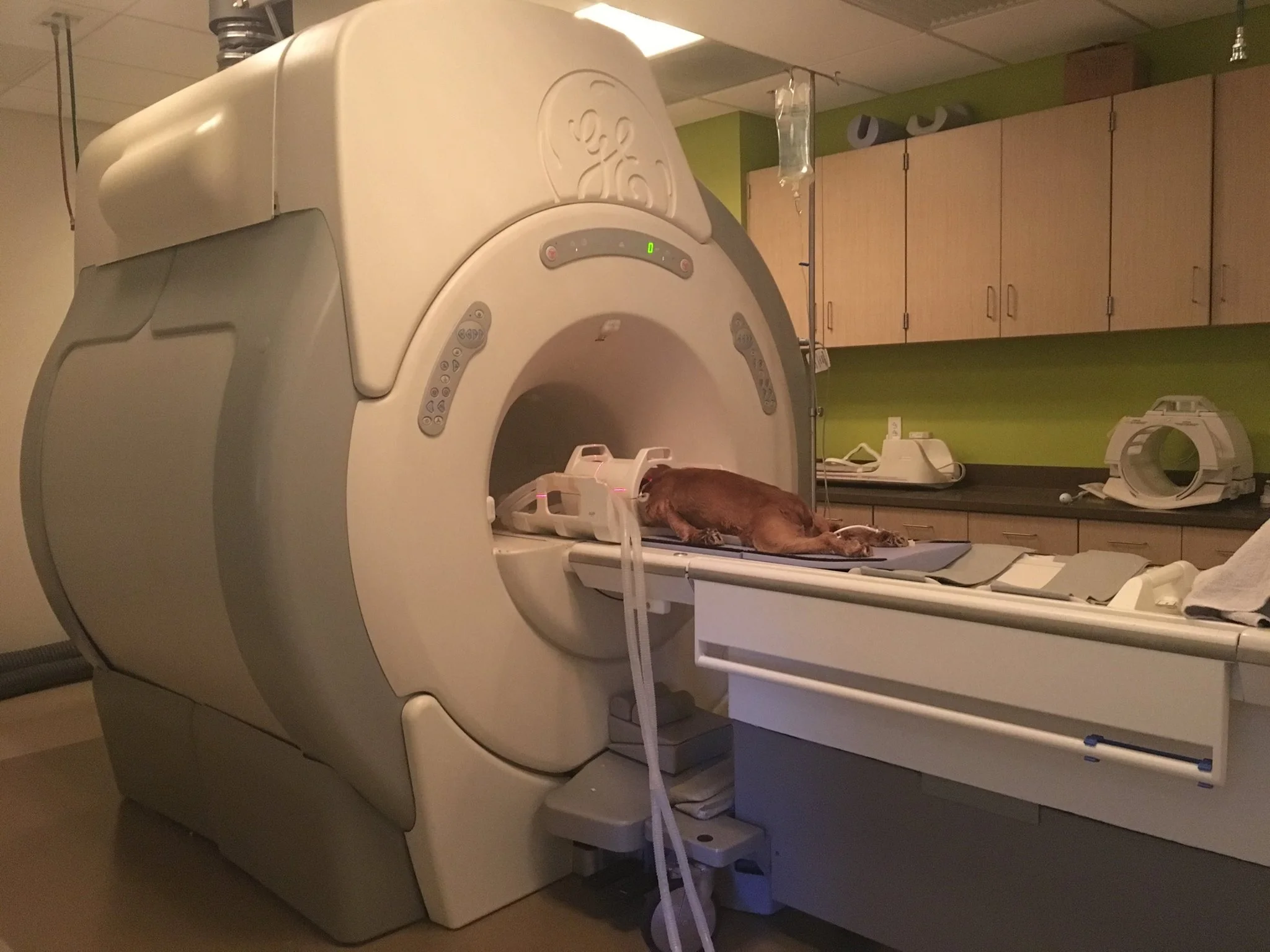 Morgan gets an MRI