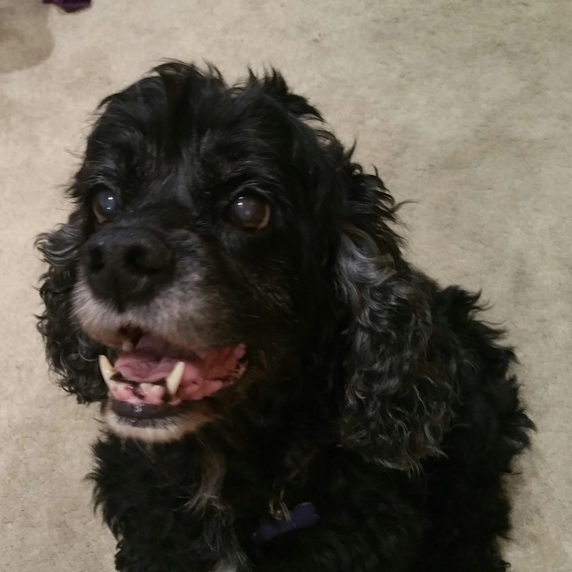 She Smiles!!