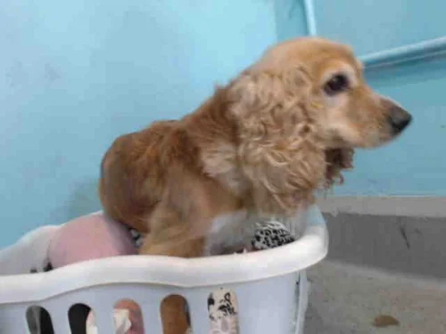 Baldwin Park Shelter Photo
