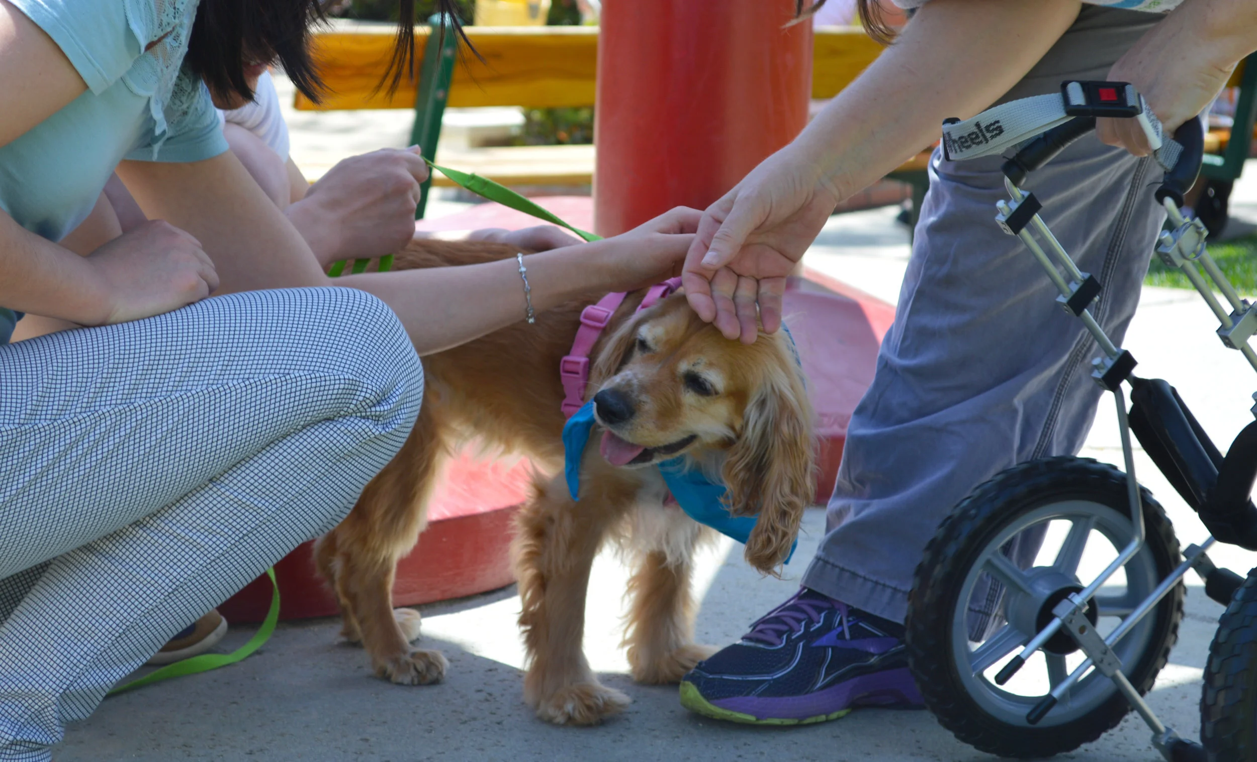 April 22nd 2017 --Adoption Event in Malibu