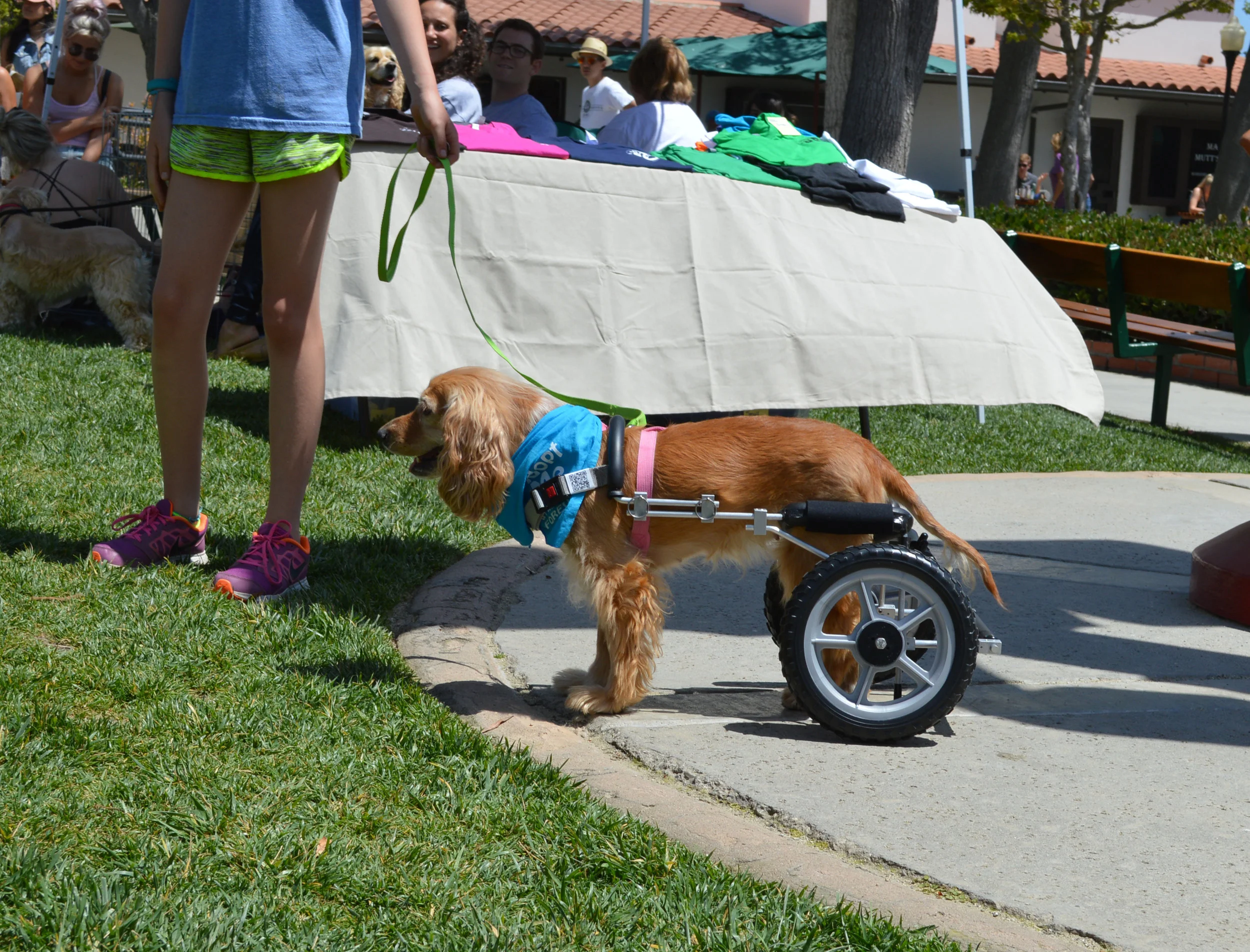 Looking good in her wheels!