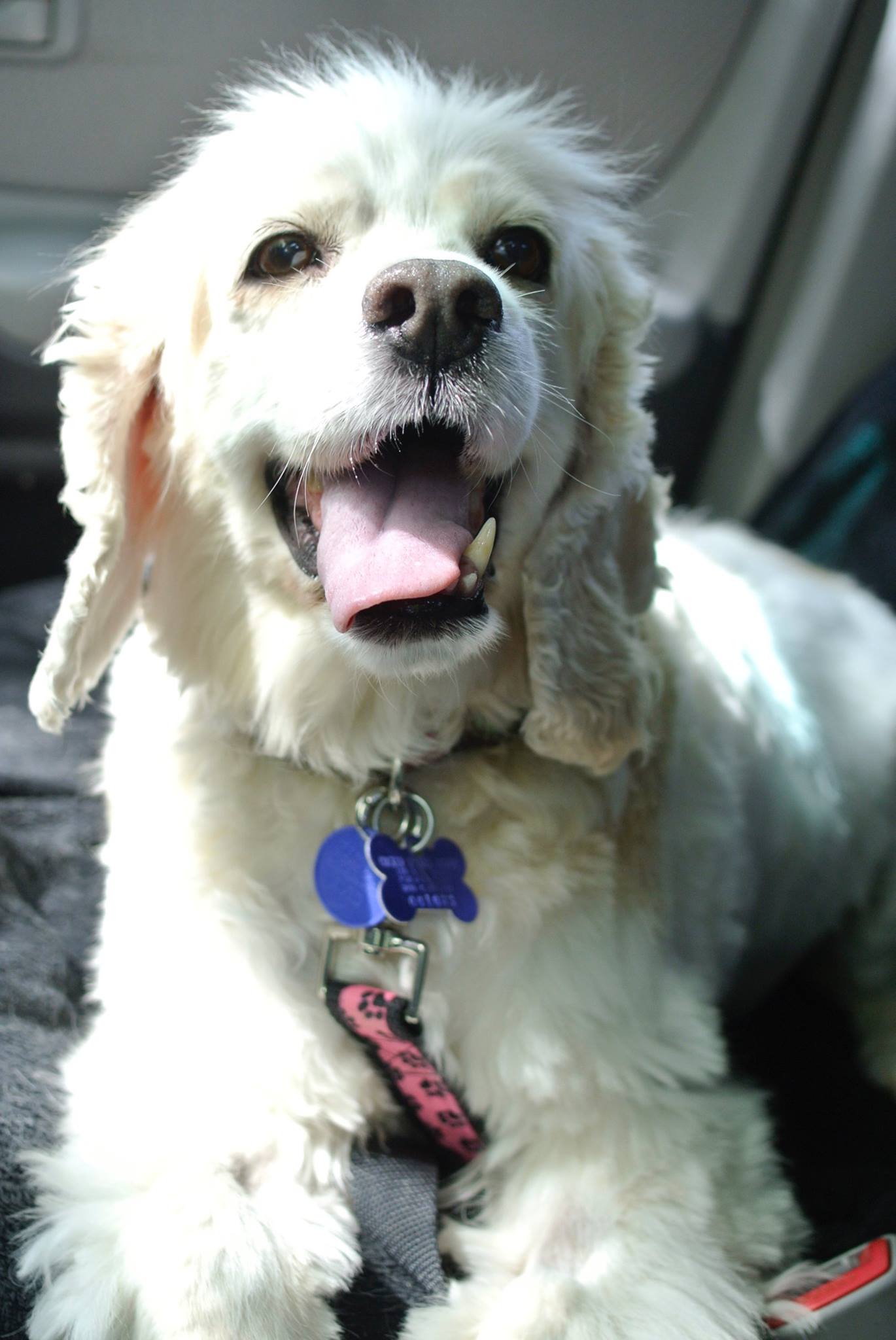 May 31st - Adoption Day! 