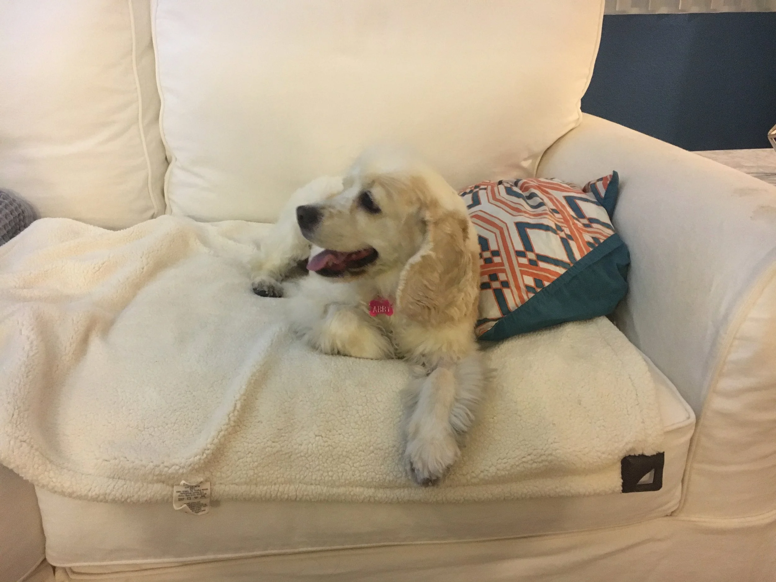Relaxing on a couch for the first time!