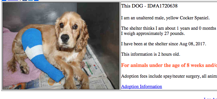 Shelter Photo