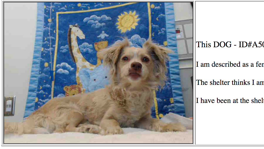 Shelter Photo 