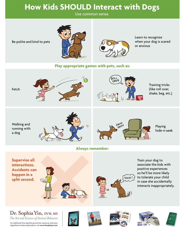 How children should interact with a dog.png