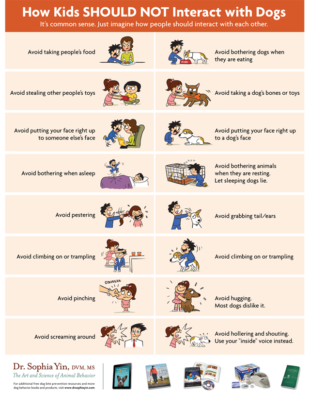 How children should not interact with a dog.png