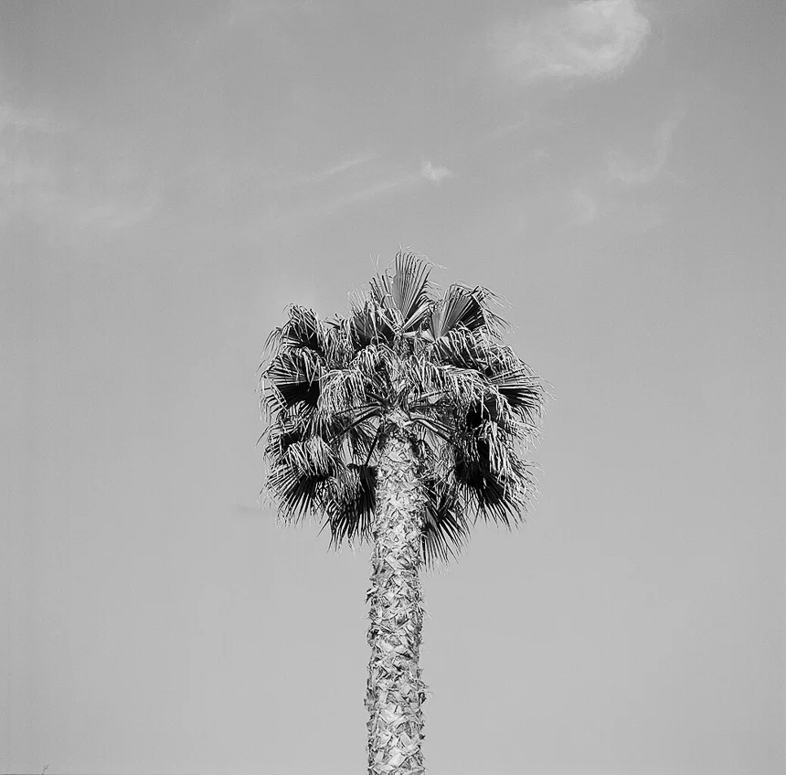 Amy Kiel Photography