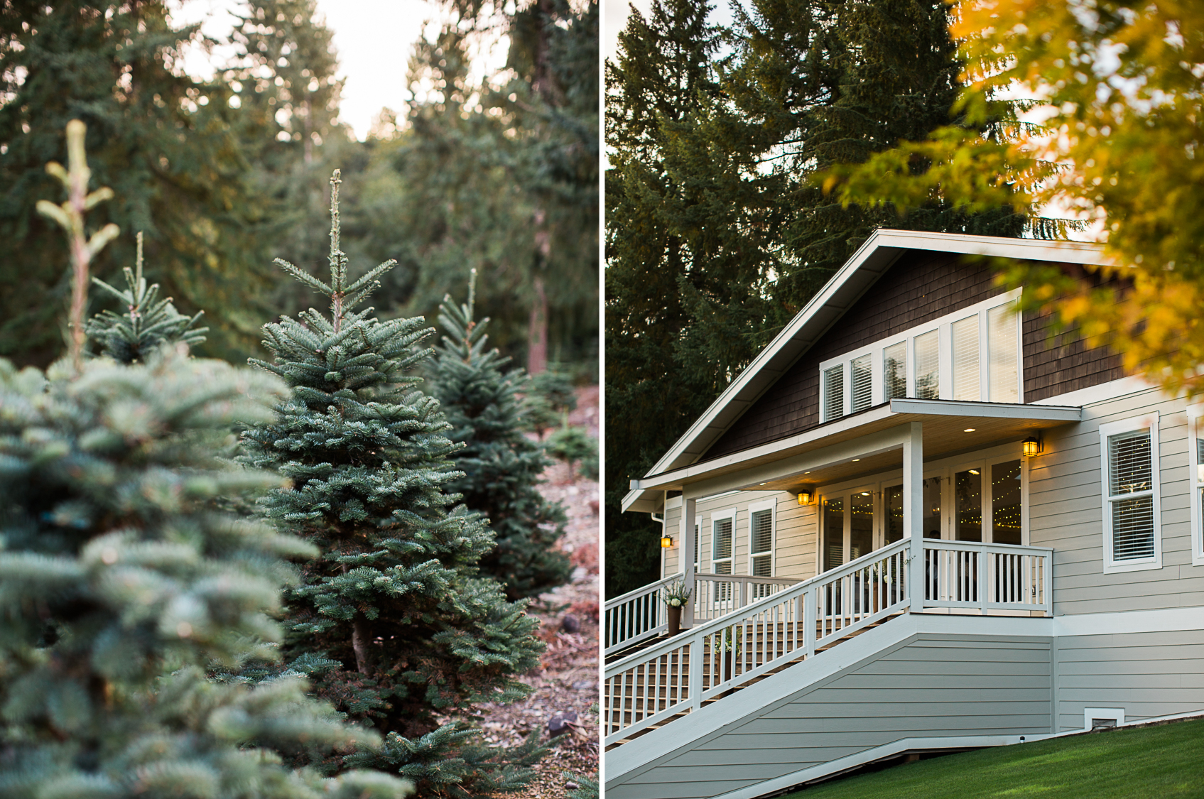 Trinity Tree Farm Wedding Amy Kiel Photography