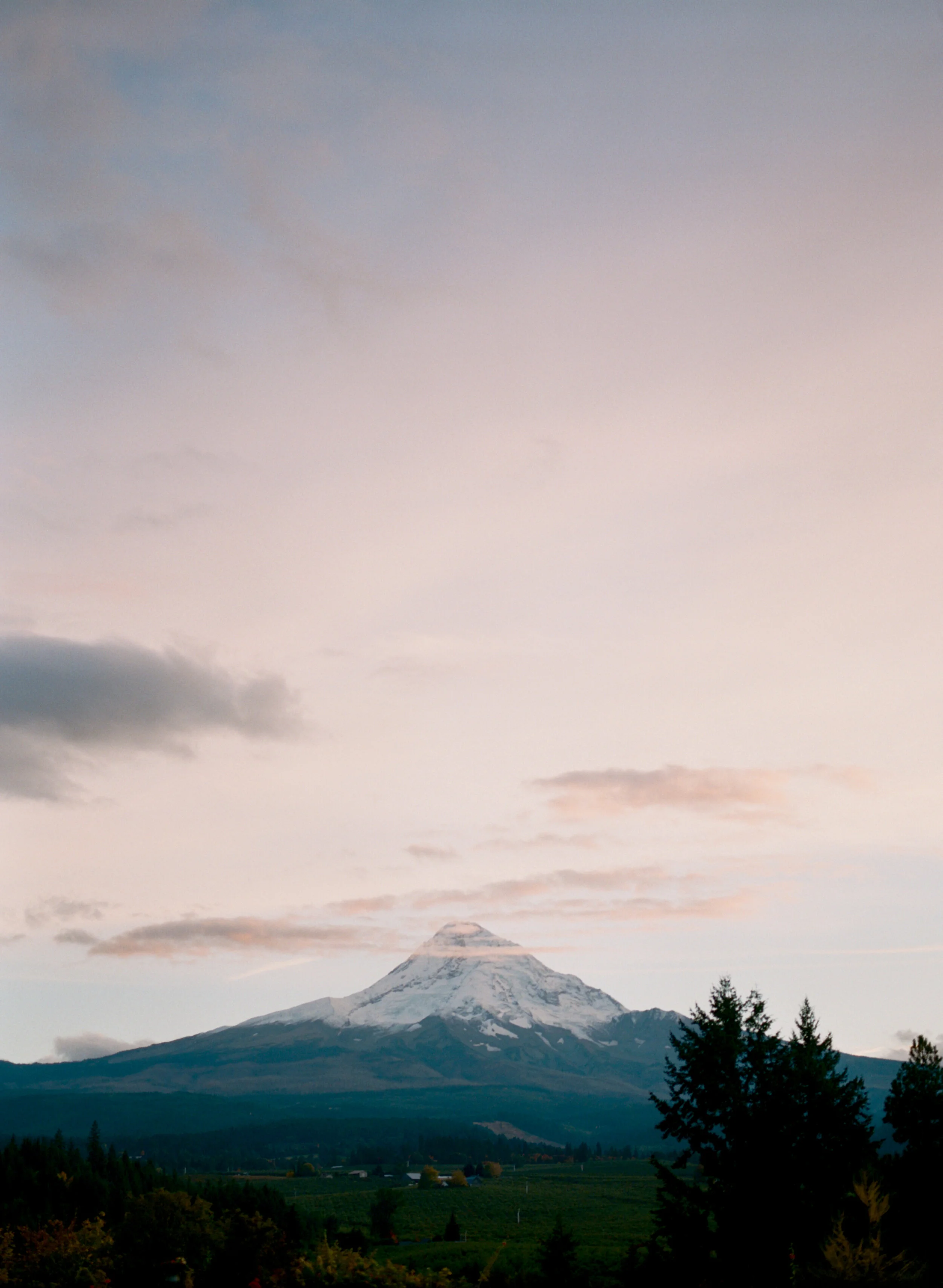 MT HOOD ON PINK