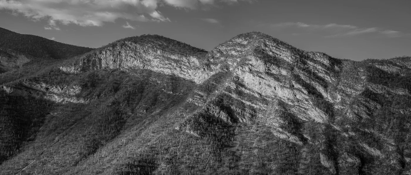 _MG_8421-Edit-2.jpg