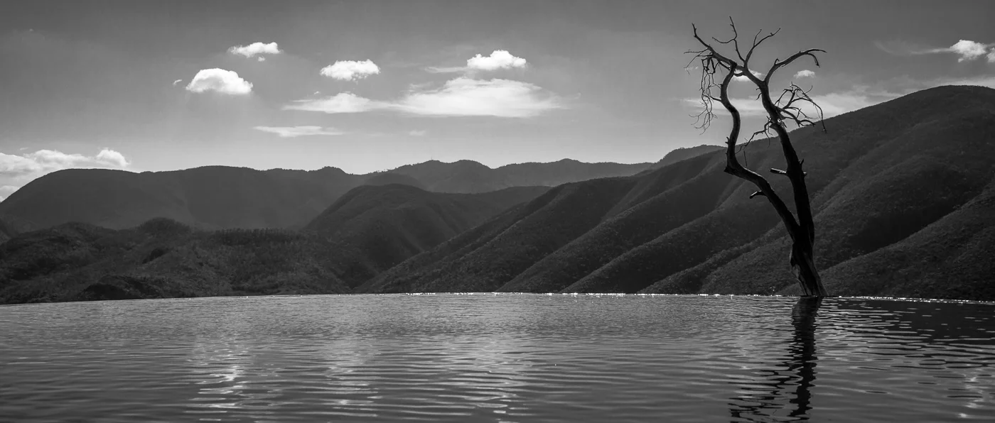 _MG_8597.jpg