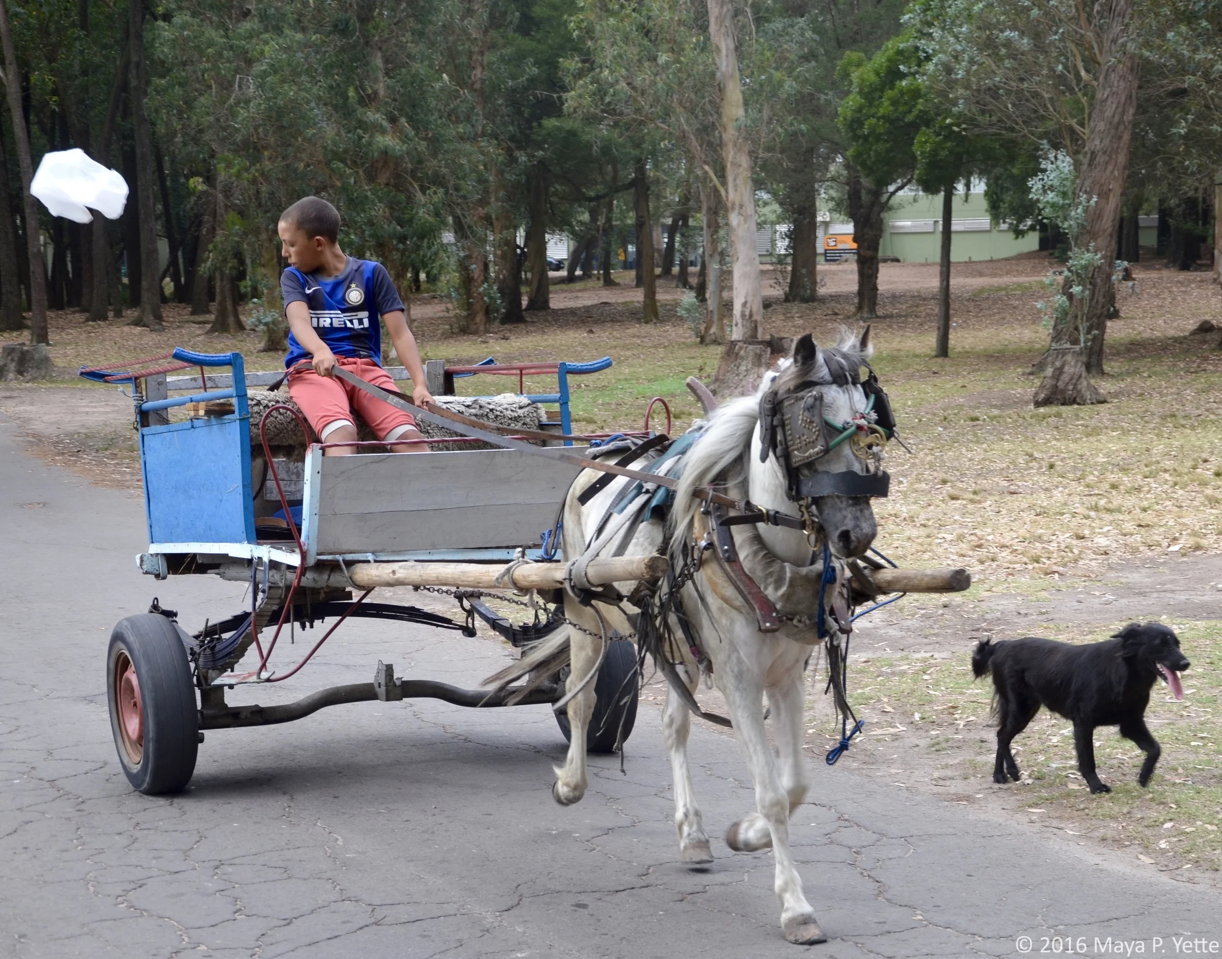 Montevideo, Uruguay. 2016