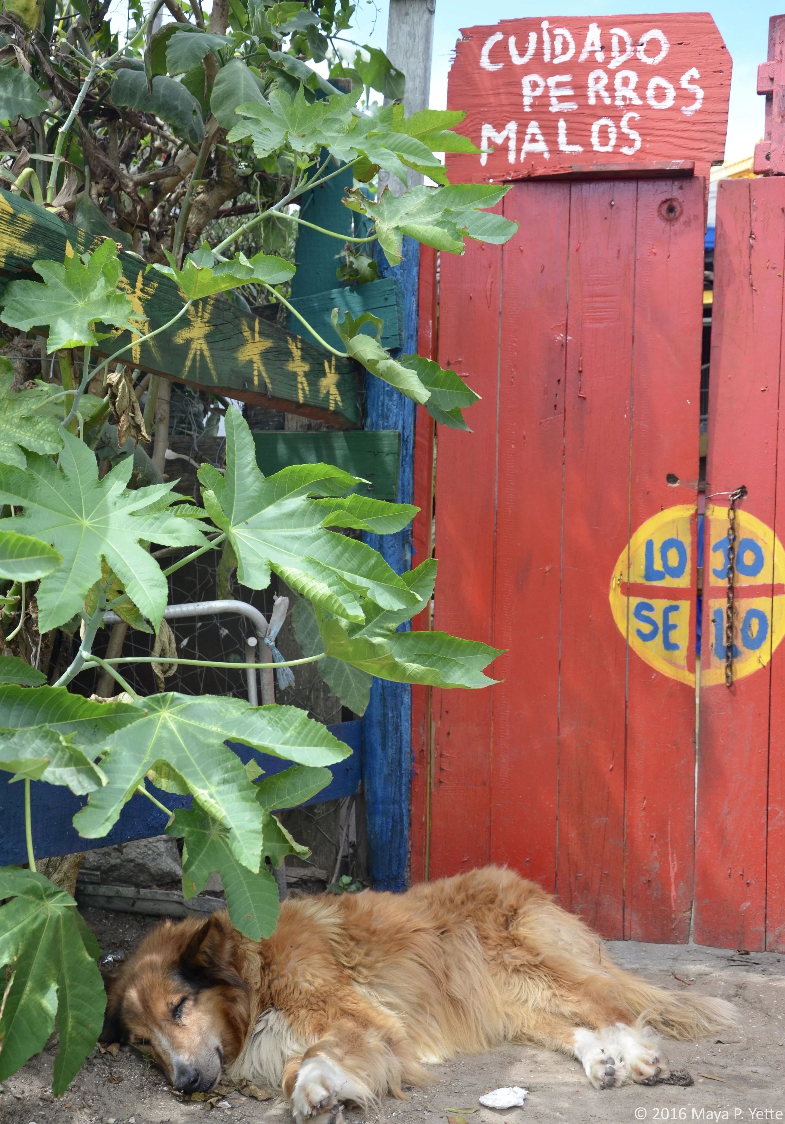 Cabo Polonio, Uruguay. 2016