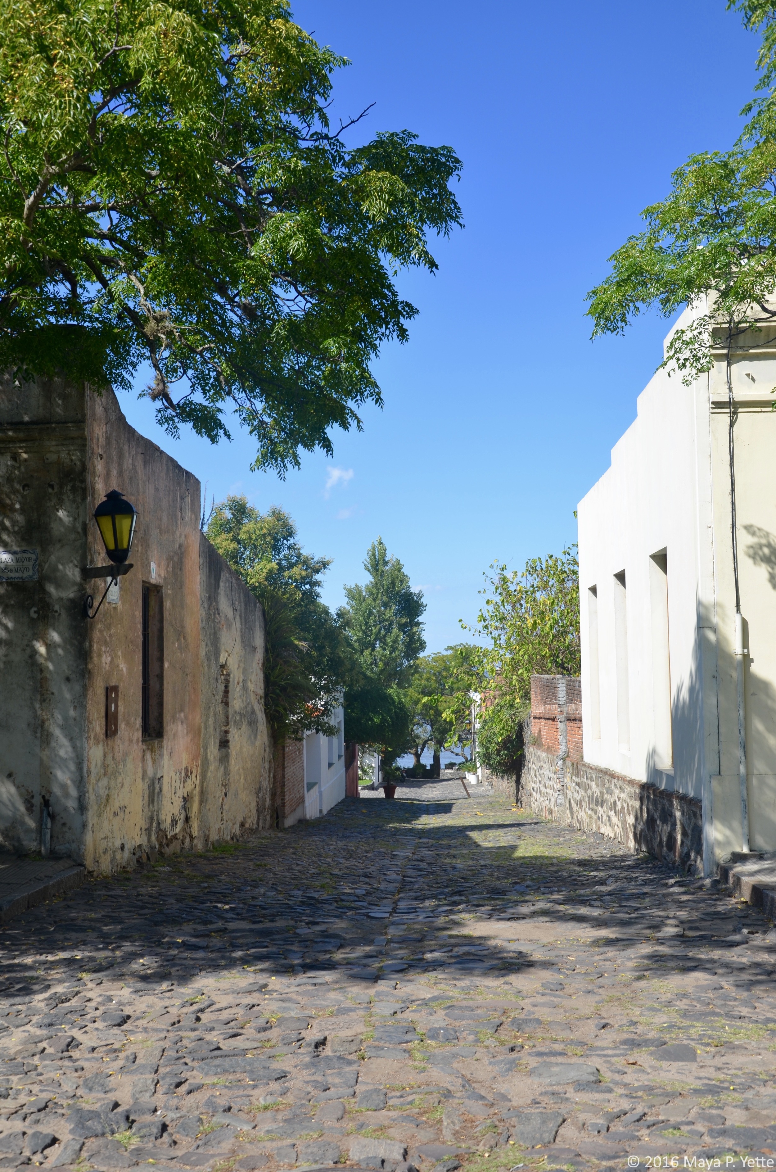 DSC_0807.jpg