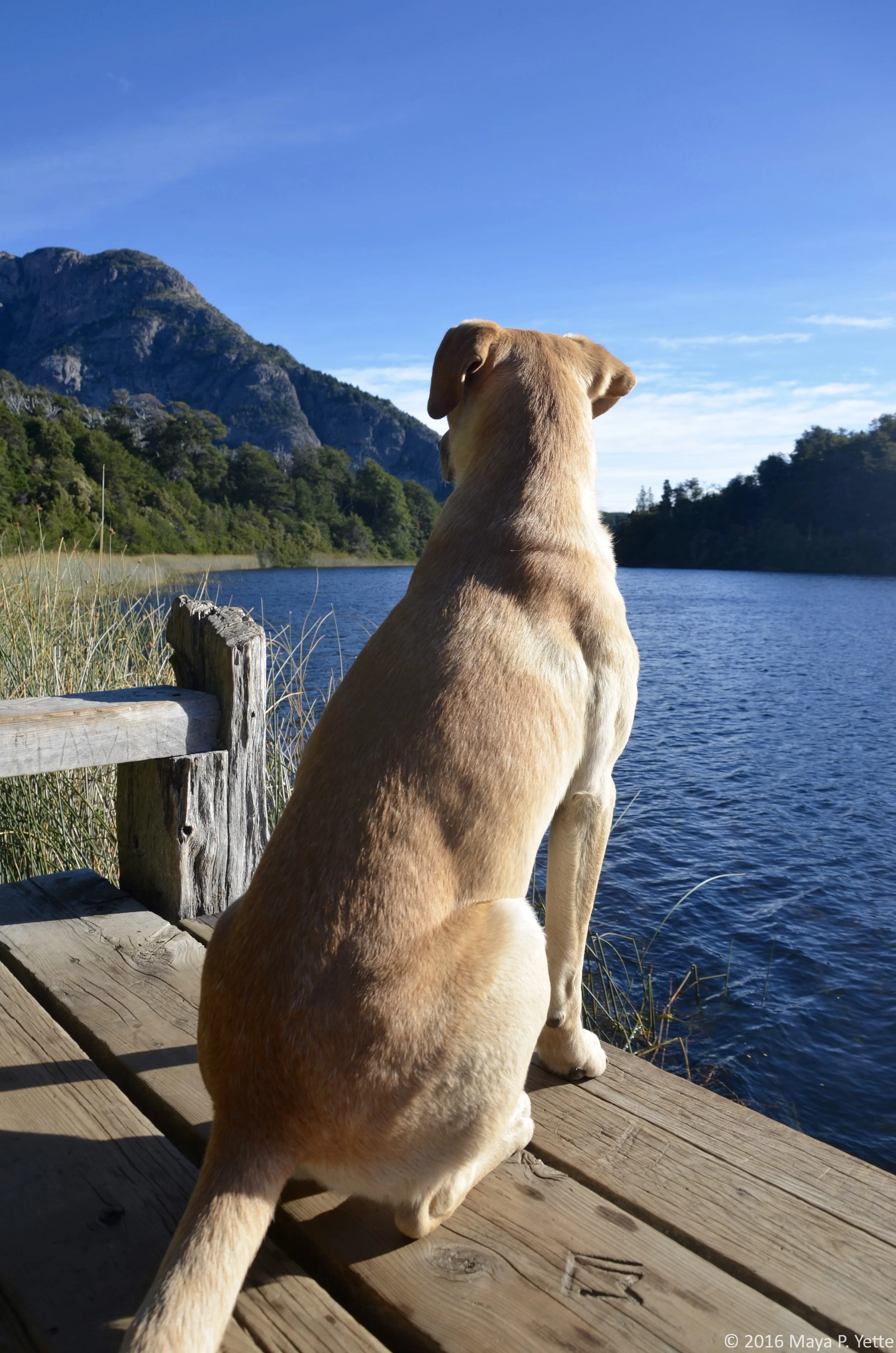 San Carlos de Bariloche, Argentina. 2016