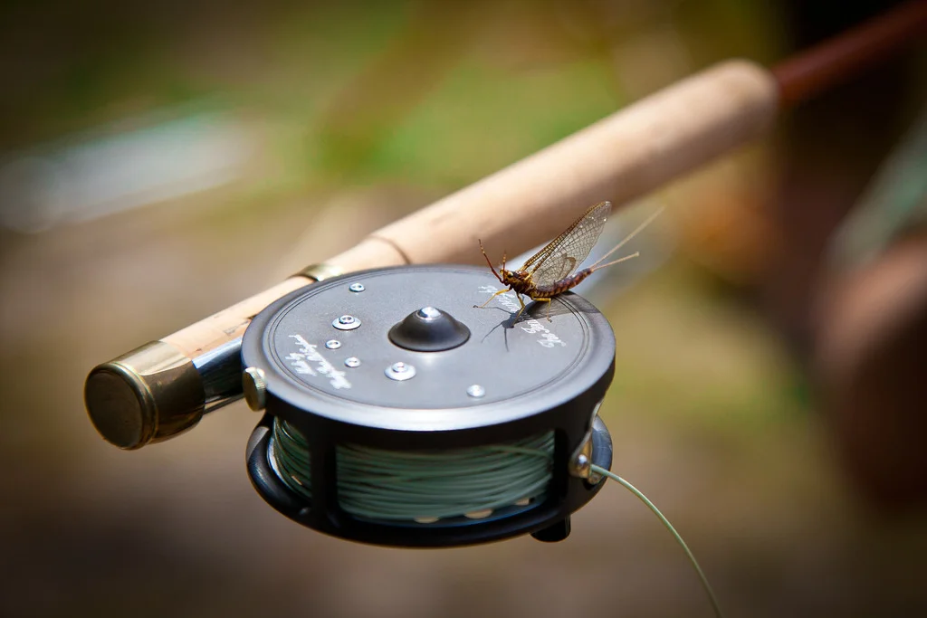 Hexegenia on a 7'2"3wt photo by Christian Horgren