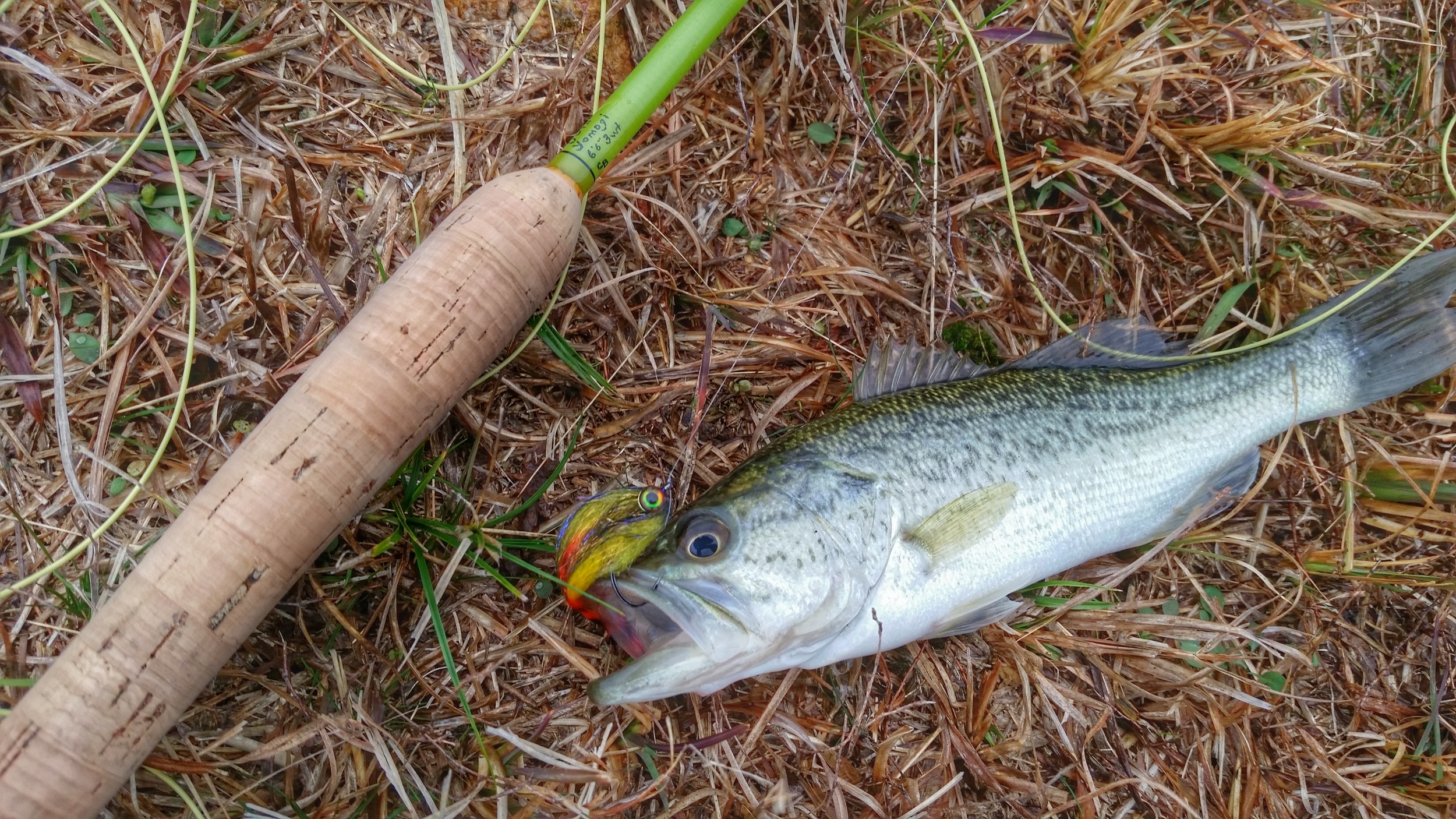 Straight leader for bass?, Fishing with Fiberglass Fly Rods