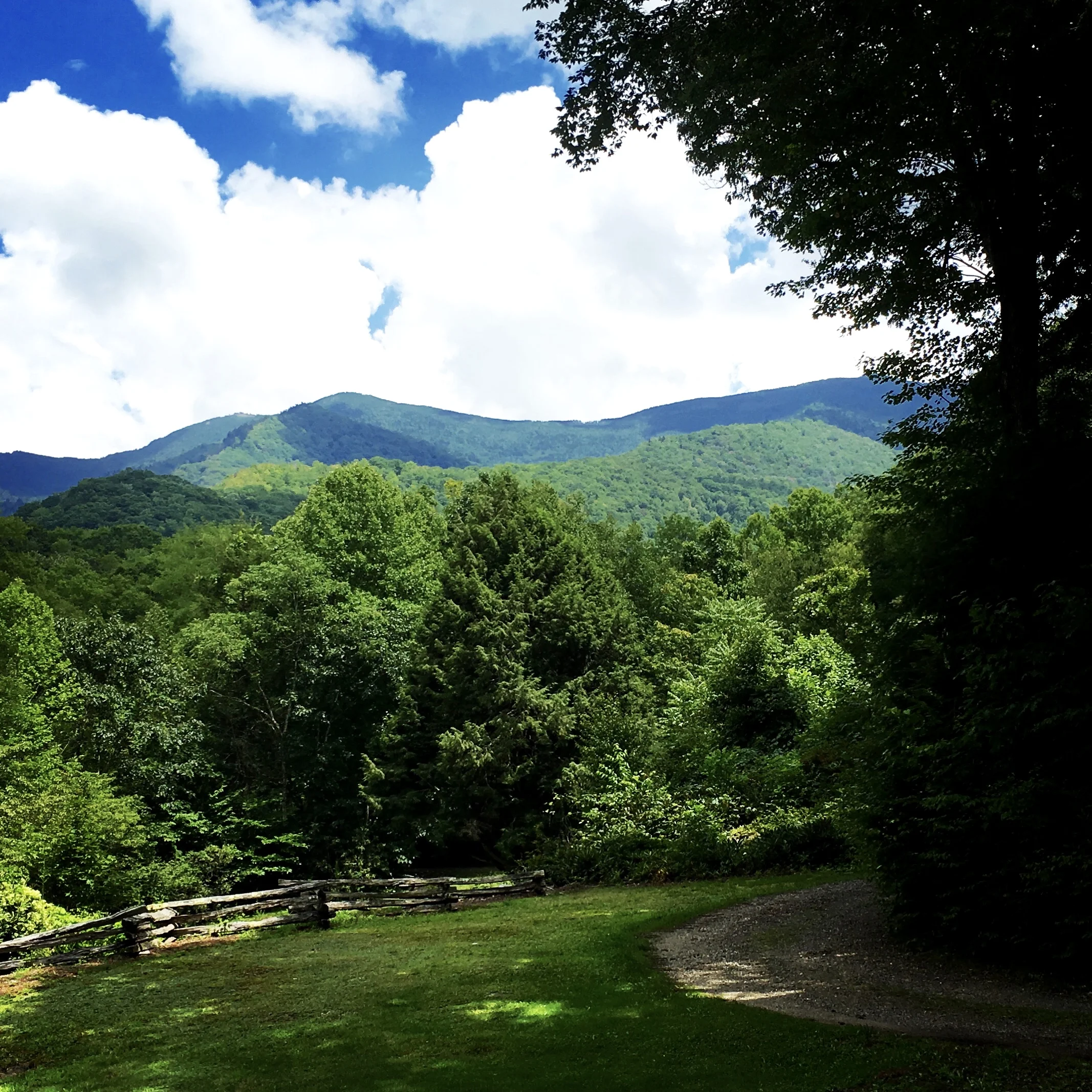 Mount Mitchell