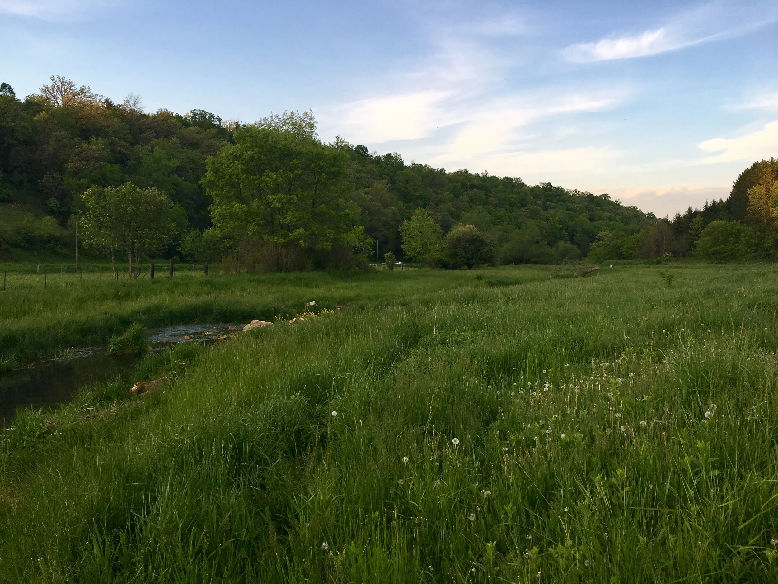 The Beauty of the Driftless
