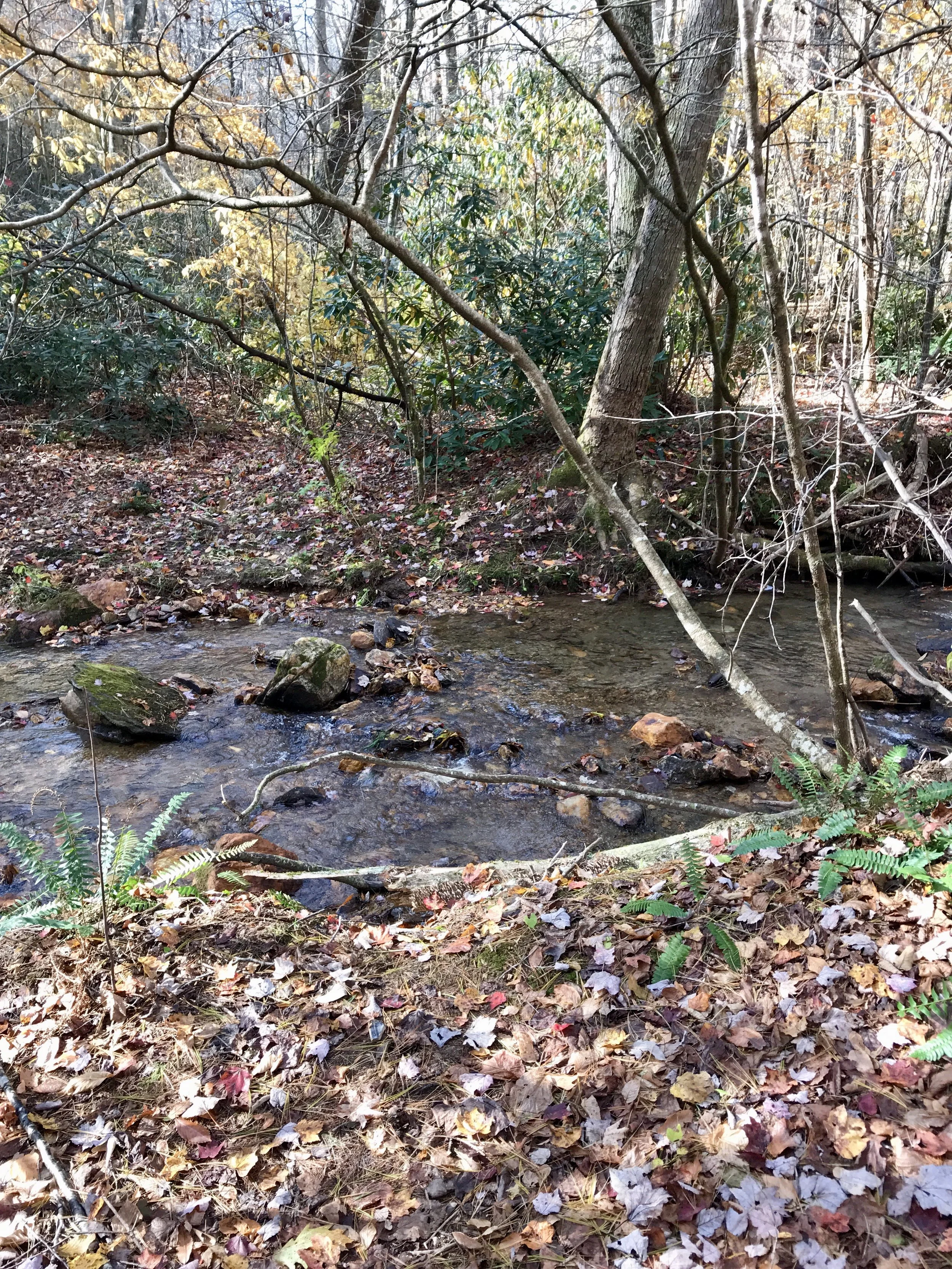 First signs of water