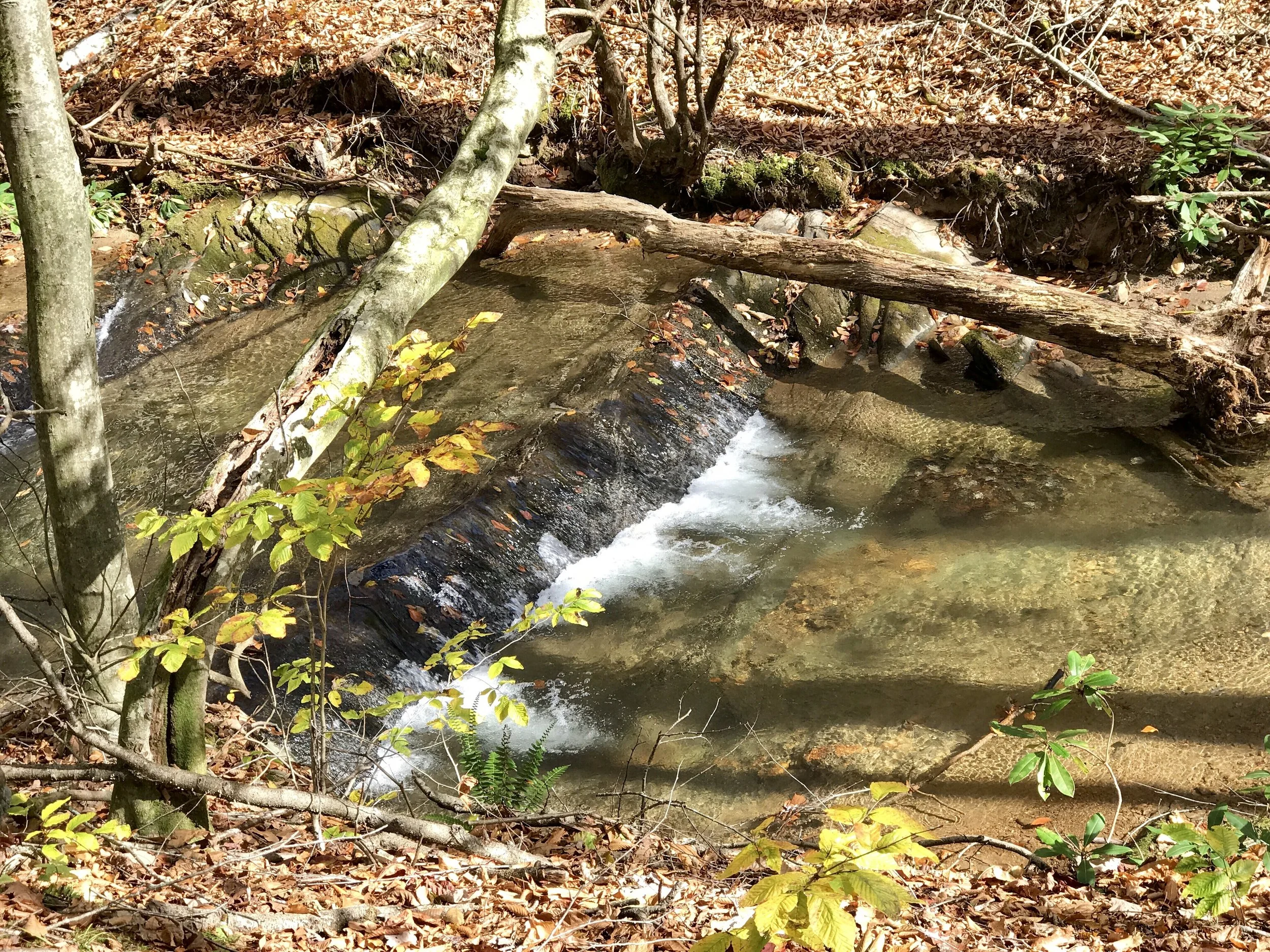 Clean and clear water