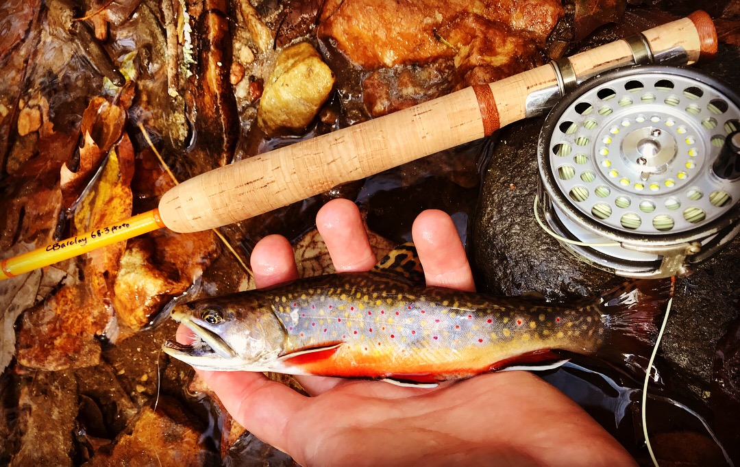 chris barclay fly rods