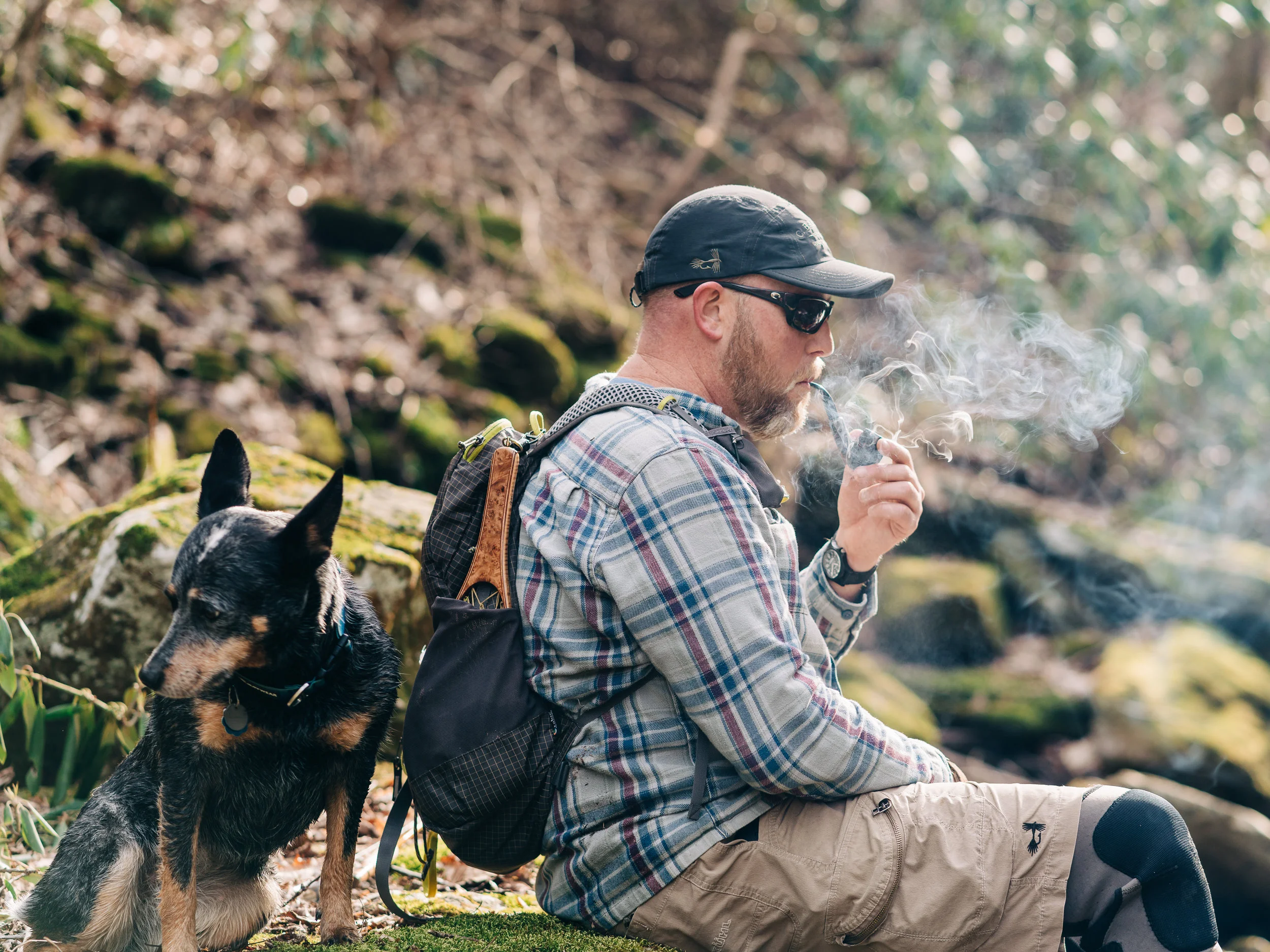 Early Spring in the Blue Ridge