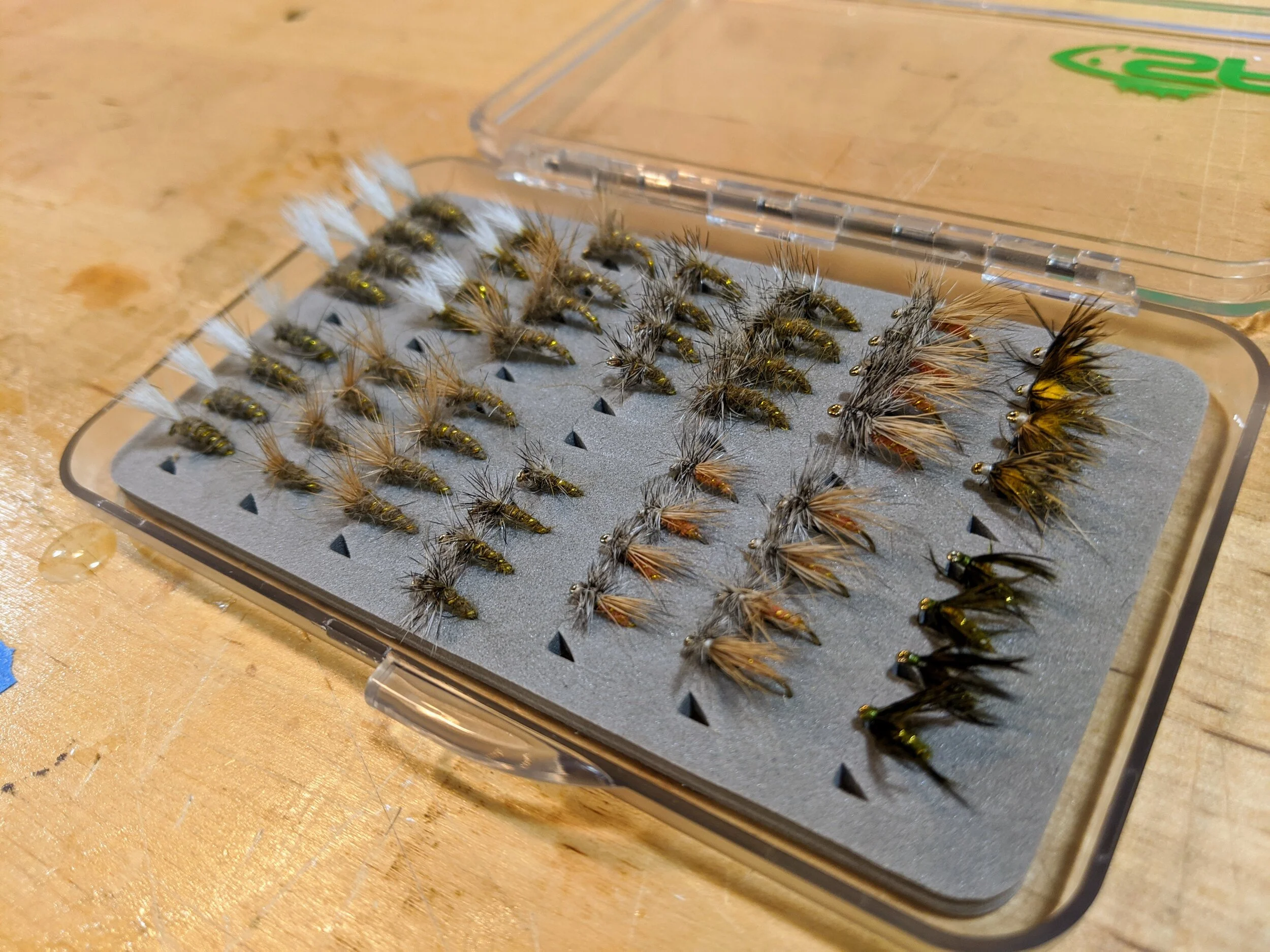 Cabin Fever and Flies
