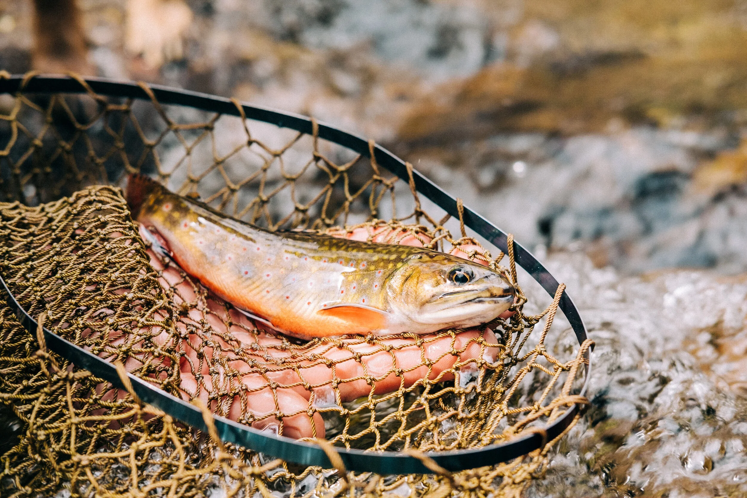 Fishing
