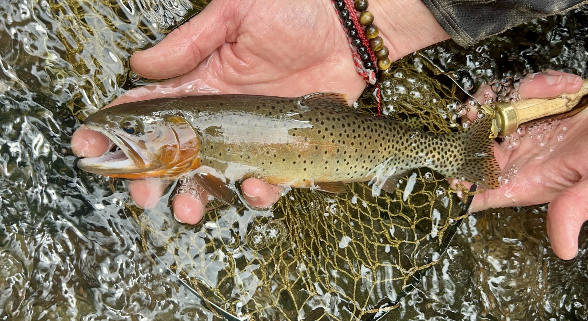 Summer updates - new rods, fishing and imperfection