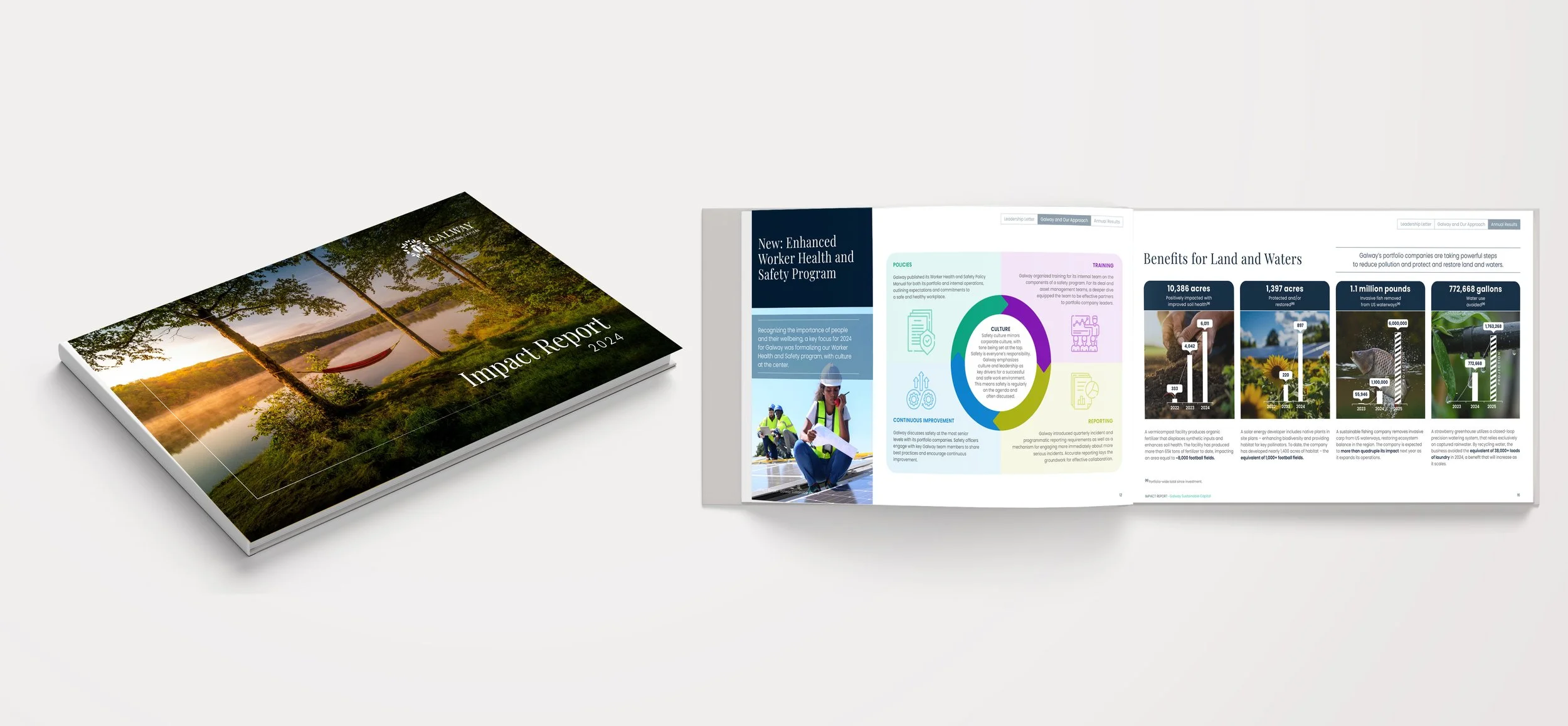 Publication horiz-Galway.jpg