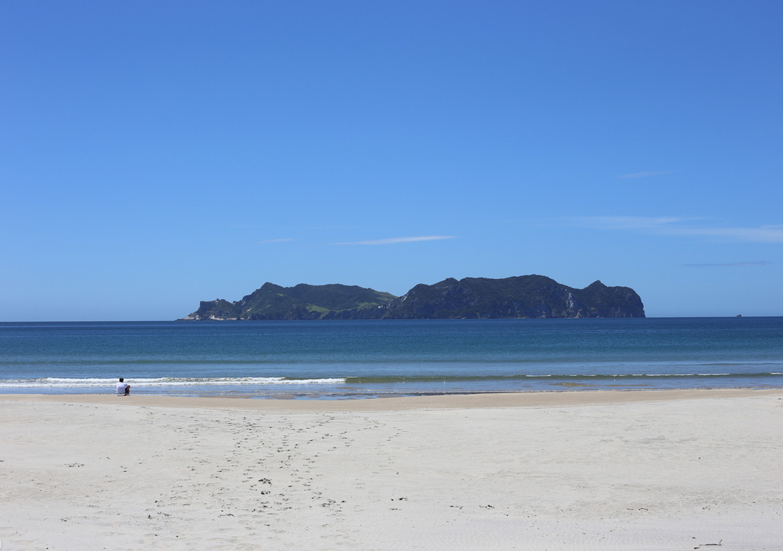 whangapoua1.jpg