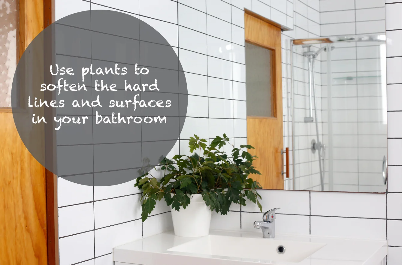 P&G-PlantTip#4-soften.jpg