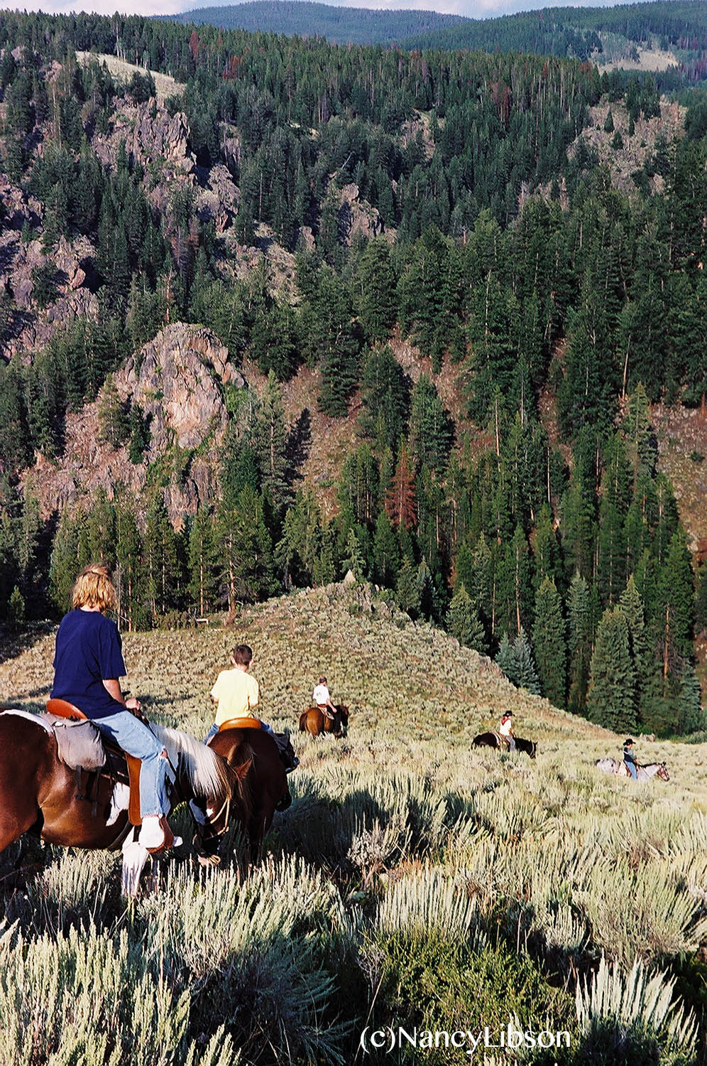 colorado7.jpg