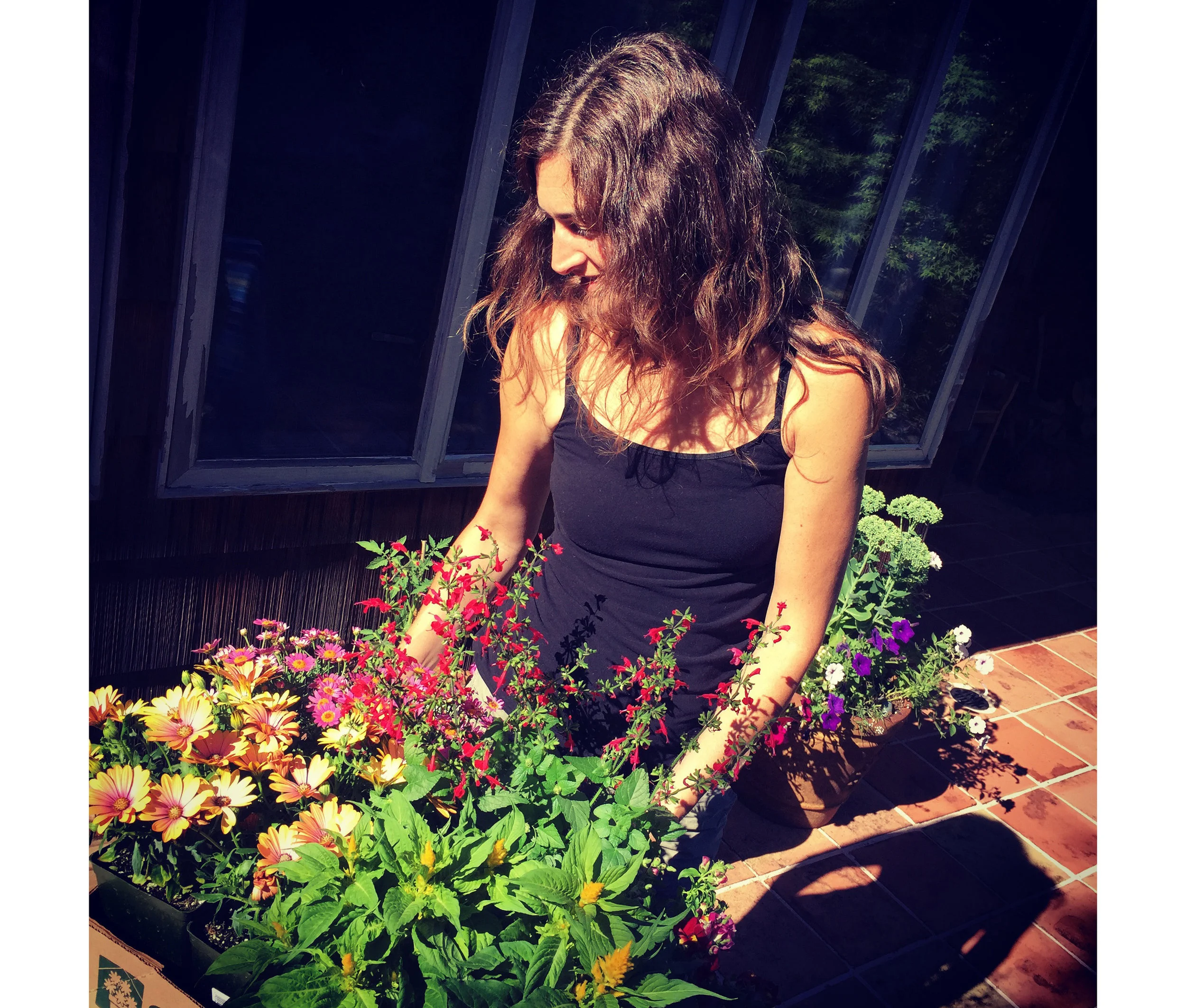 flowers1.jpg